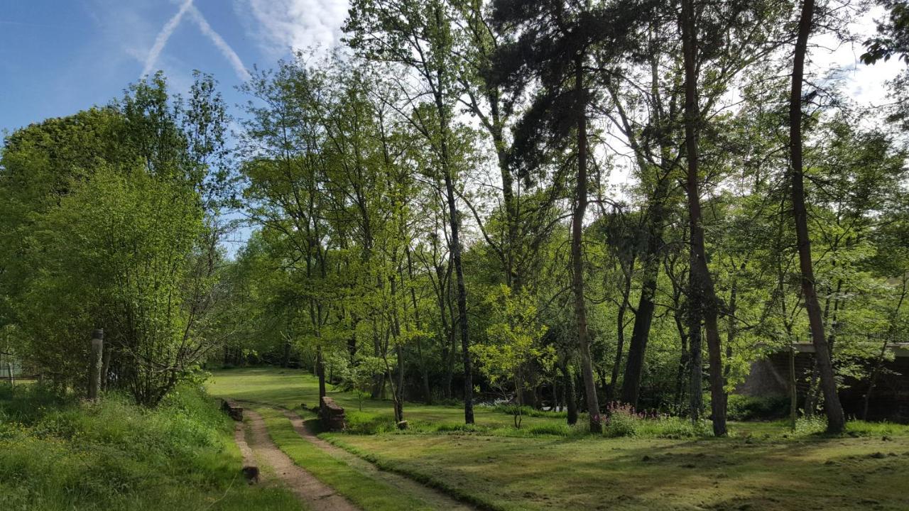 Chaillac Le Moulin Du Cluzeau Bed & Breakfast エクステリア 写真